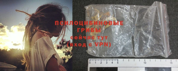 спиды Алексеевка