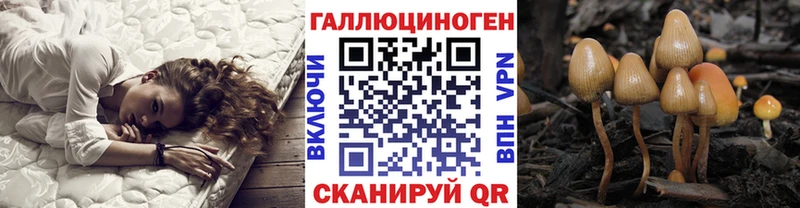 Псилоцибиновые грибы мицелий  Анжеро-Судженск 