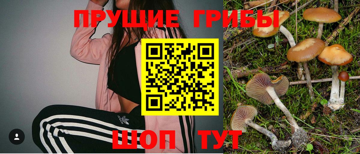Анжеро-Судженск  Псилоцибиновые грибы Psilocybe  Вход с VPN 