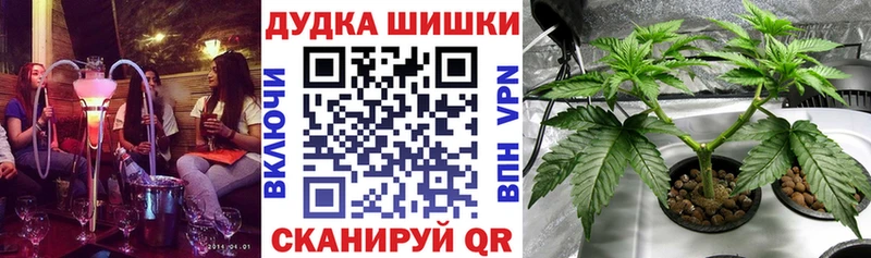 МАРИХУАНА гибрид  omg ТОР  Анжеро-Судженск 
